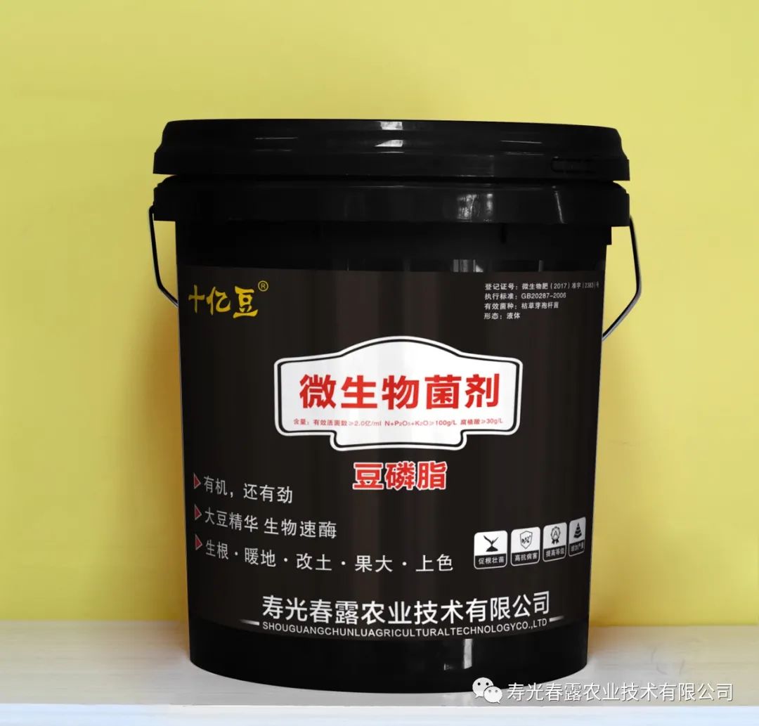 大豆豆磷脂