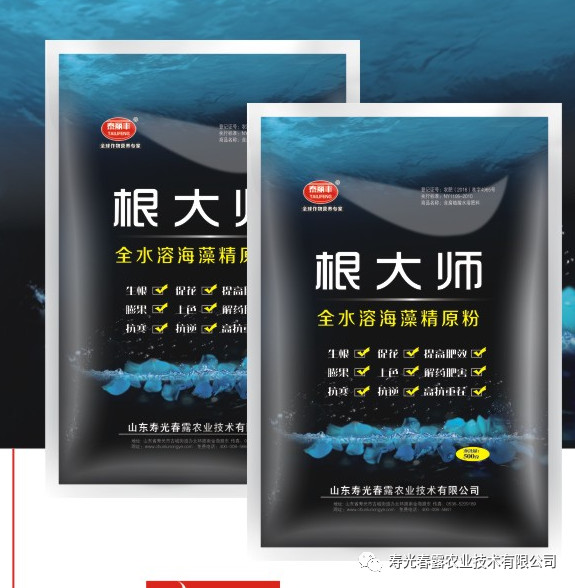 根大师海藻精