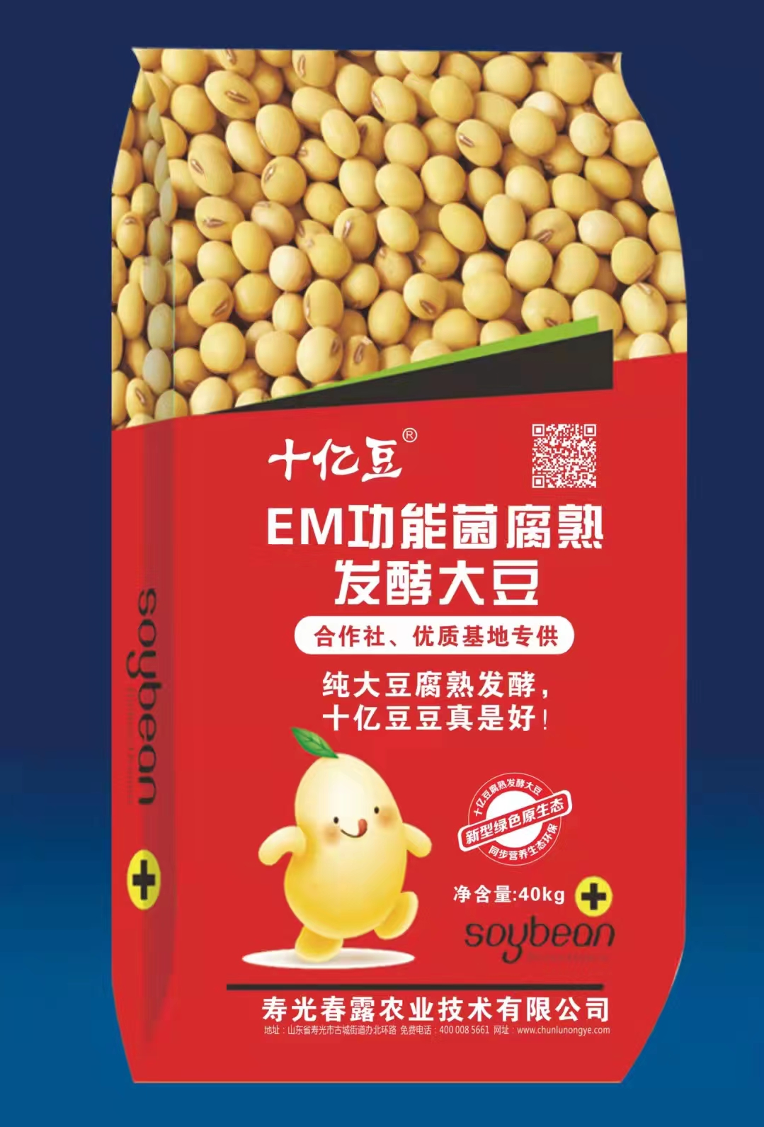 发酵大豆